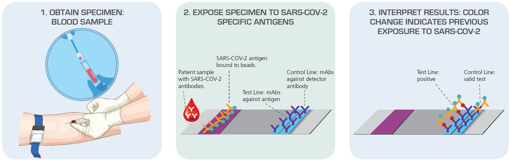 Antibody Test (Serology) Detect Immune Response to SARS-CoV-2 Exposure Source: American Society for Microbiology