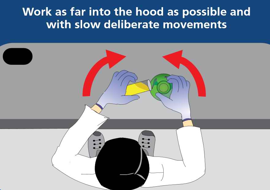 Work as far into the hood as possible and with slow deliberate movements